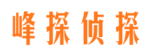 民权市侦探公司